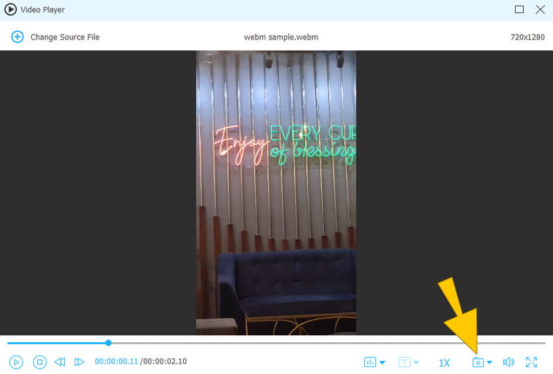 WEBM PNG 変換 Vidmore キャプチャ