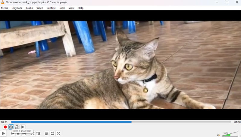 VLC MP4 PNG コンバーター