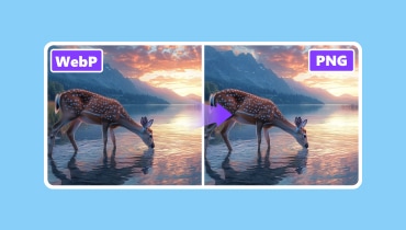 WebP と PNG の相互変換