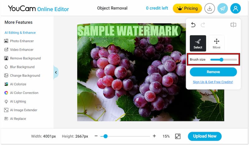 透かし部分をハイライト
