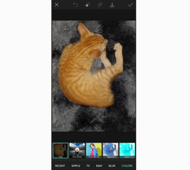 画像エフェクト