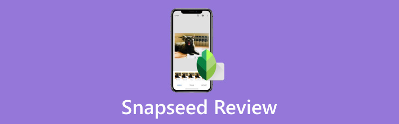 Snapseedのレビュー