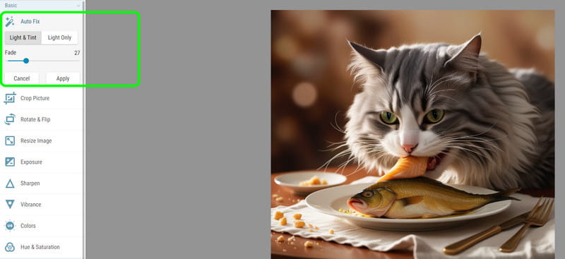 自動補正（Auto Fix）機能