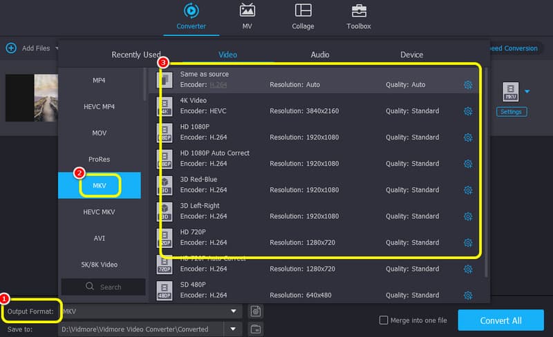 MKV を選択 – Vidmore