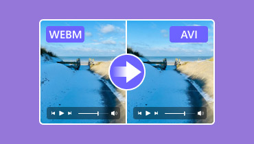 WebMをAVIに変換