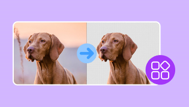 背景を削除するアプリ