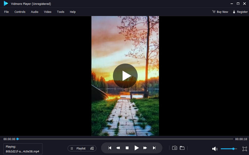 Vidmore Player：最高の Windows 用プレーヤー