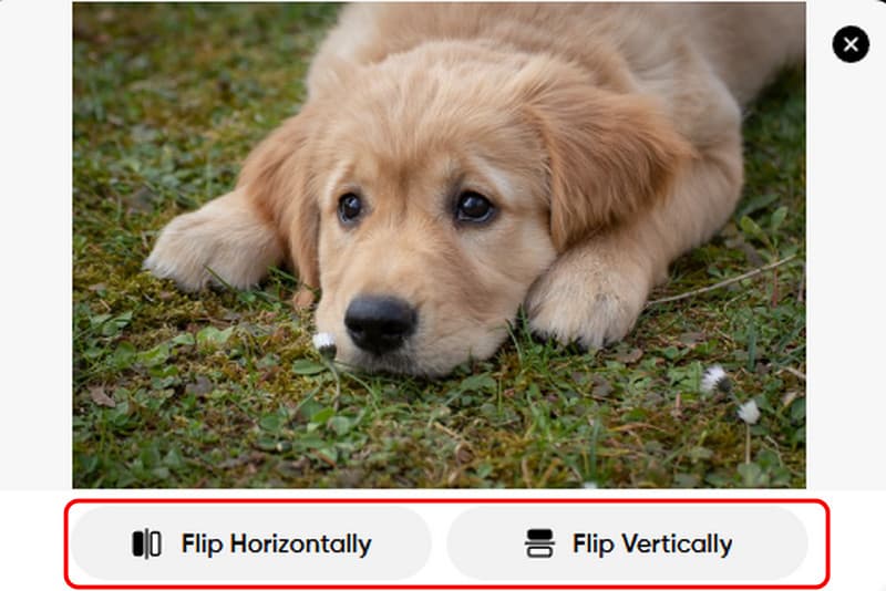 Picsartで画像を反転