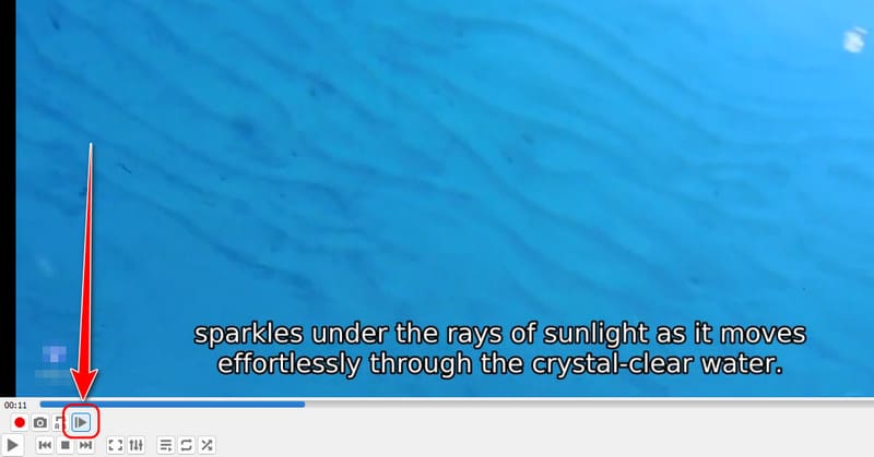 VLC の「フレームごと」ボタン
