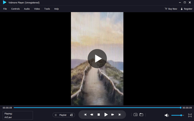 Vidmore Player 優れたプレーヤー