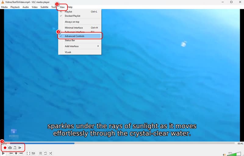 VLC で「表示」>「拡張コントロール」