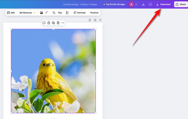Canvaのダウンロードボタン
