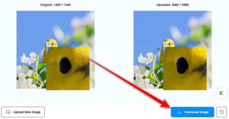 Download Image Vidmore