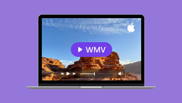 MacでWMVを再生する