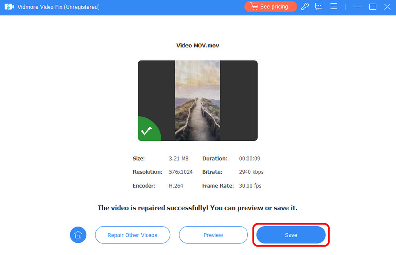 Vidmore で動画を保存する