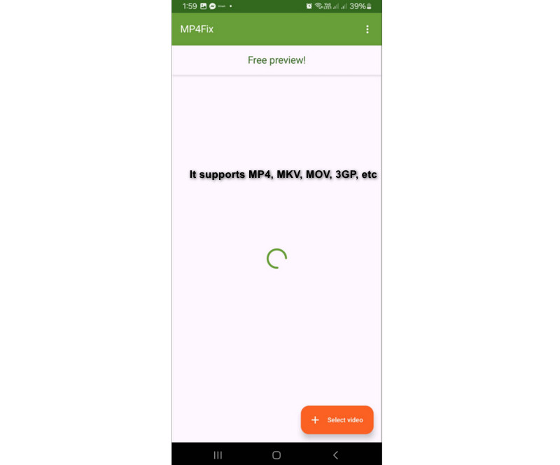複数形式のサポート