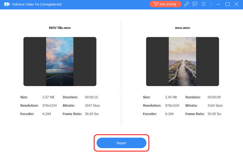 Vidmore の修復ボタンとファイル