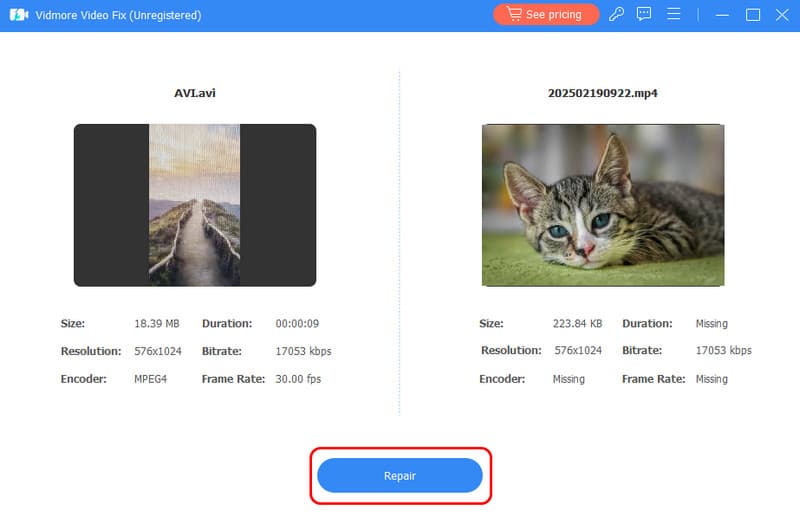 修復ボタン Vidmore