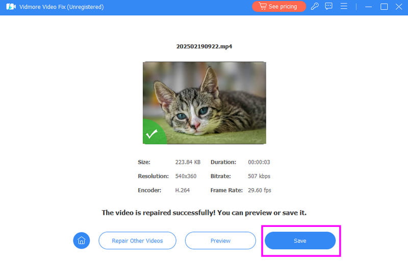 高画質動画 保存 Vidmore