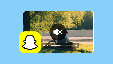 Snapchat 動画で音が出ない