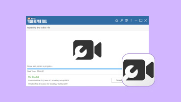 SFWare Video Repairレビュー