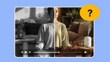 白黒動画をカラー化