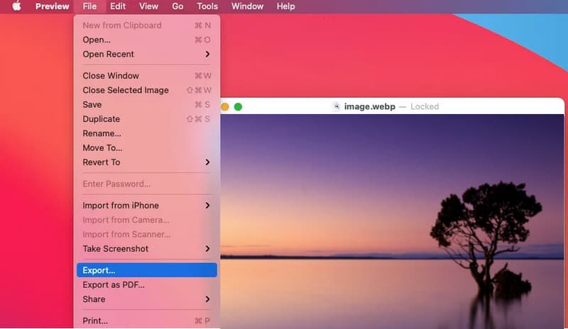 Mac プレビュー WebP から PNG 変換ツール
