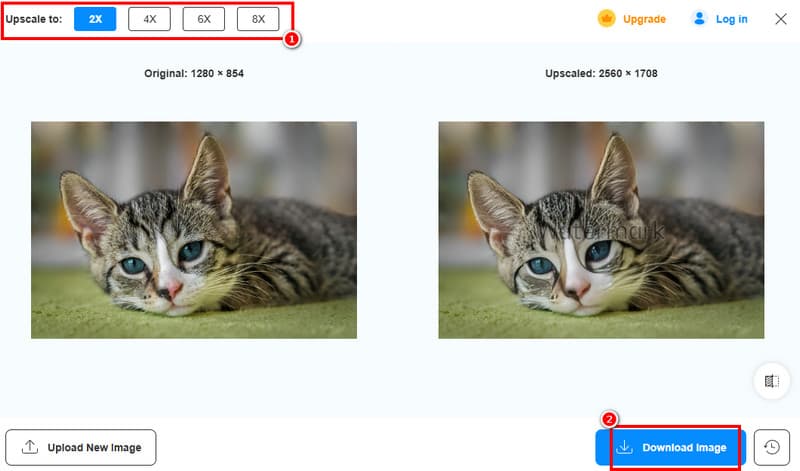 Download Image Vidmore