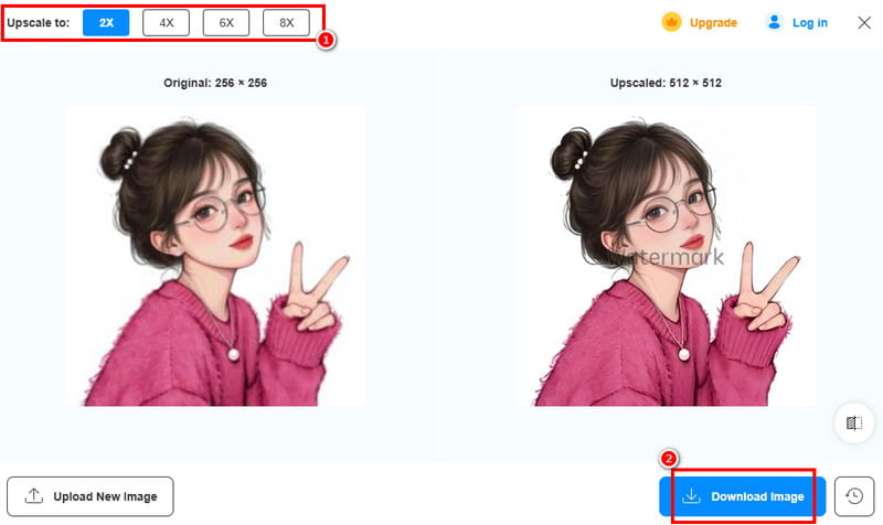 Download Image Vidmore