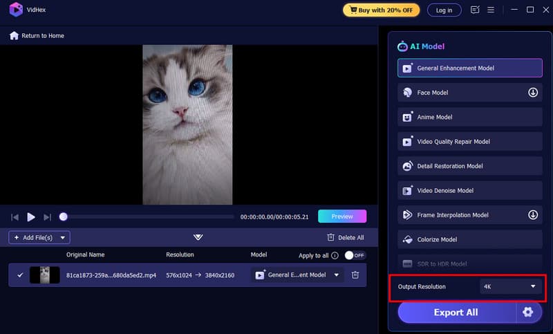 出力解像度オプション Vidmore