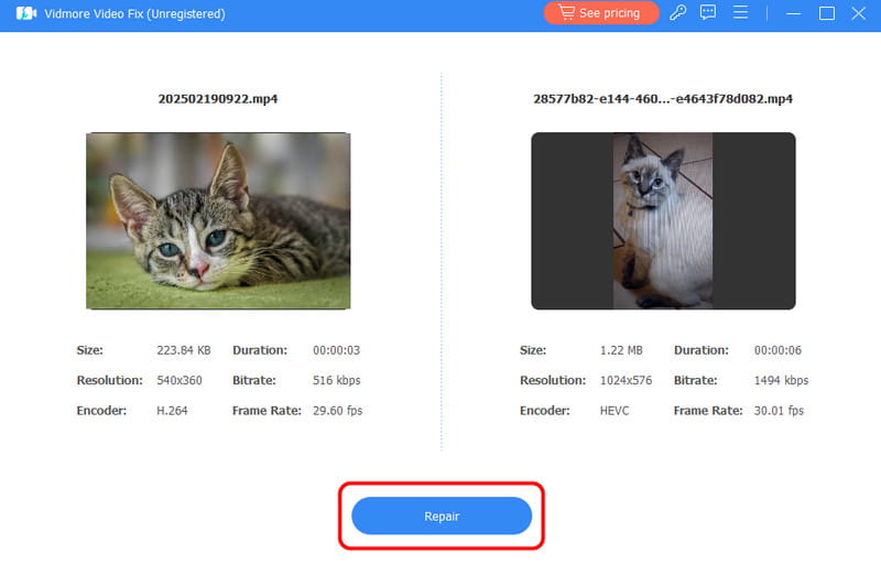 修復ボタン Vidmore