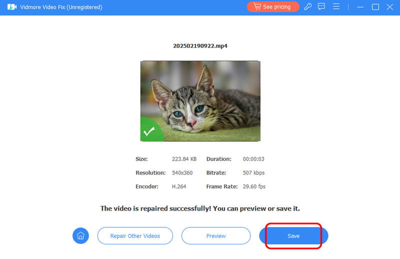 保存ボタン　Vidmore