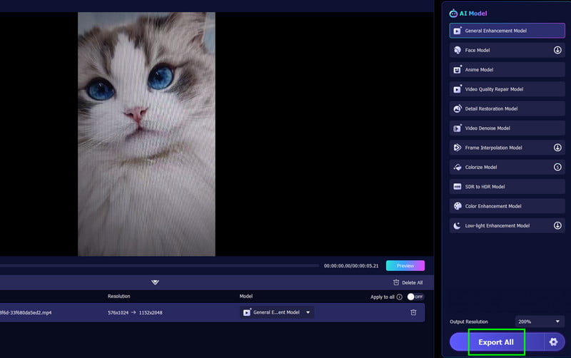 すべてエクスポート　Vidmore