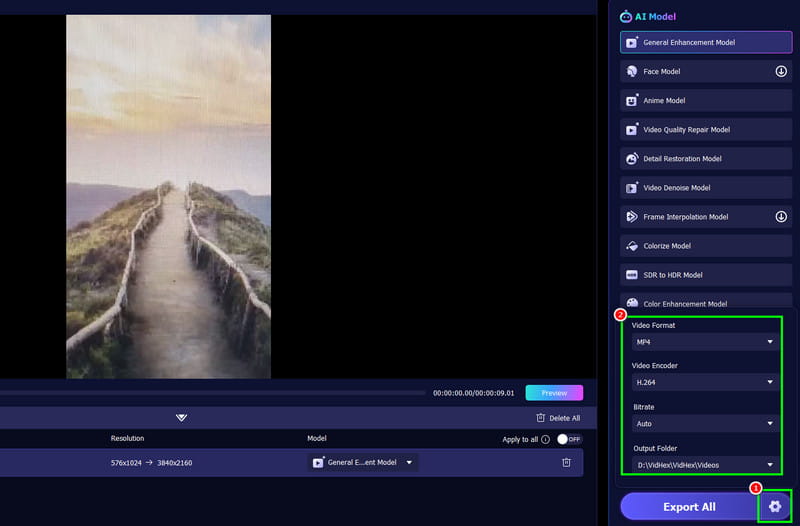 設定セクション　Vidhex