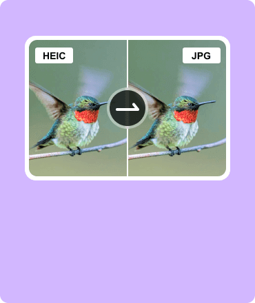 HEICをJPGに変換する方法