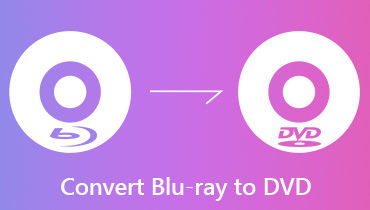 Blu-rayをDVDに変換する方法[Blu-ray to DVD Converter]
